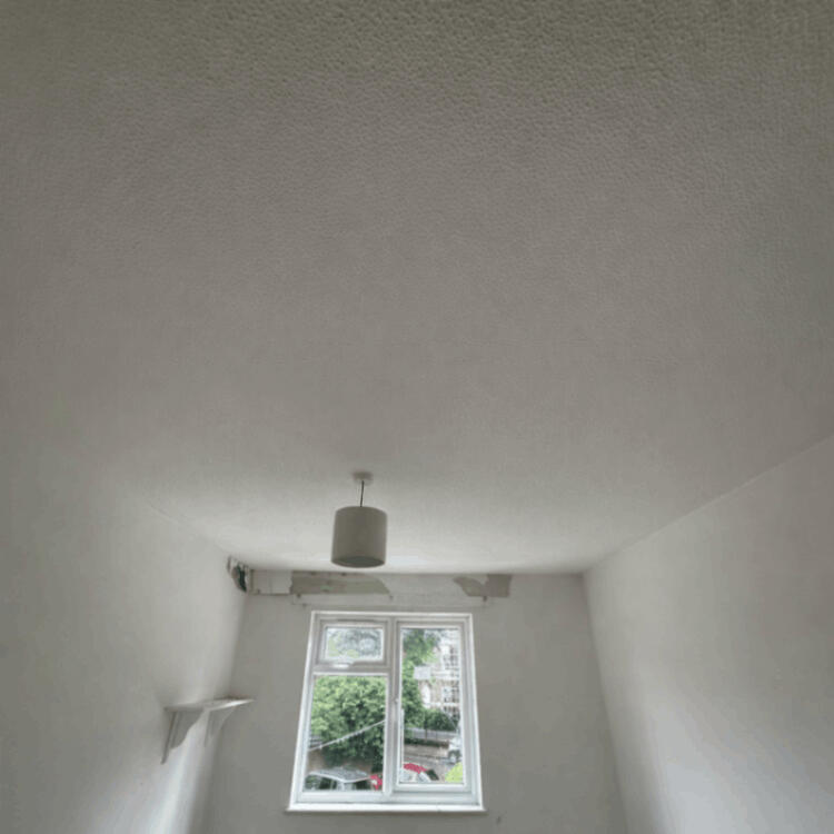 Artex Ceiling Removal - Before